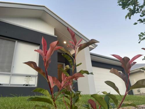 Charming Home in Griffin for Unforgettable stay