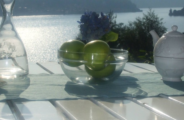 Encantadora casa con playa privada y fantásticas vistas al lago