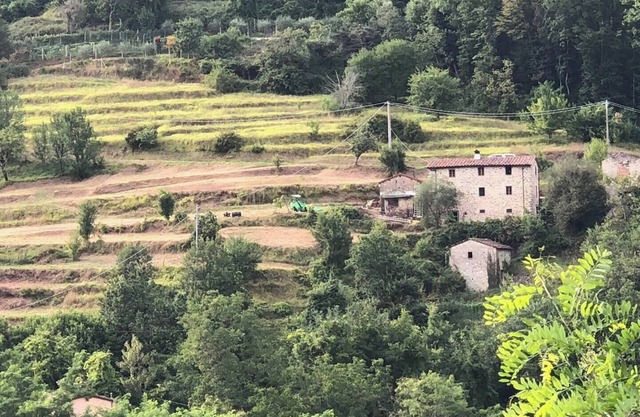 Charming farm house in Coreglia Antelminelli from 1718.