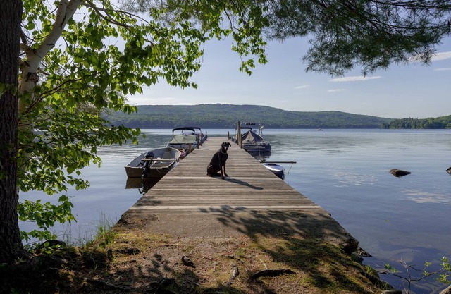 Lago Sunapee, lancha a motor disponible, se admiten mascotas.