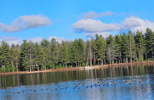 Charming Lakefront Cottage with WiFi and AC