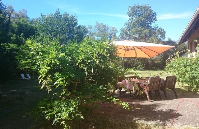 Encantadora casita Medoc en el bosque de pinos