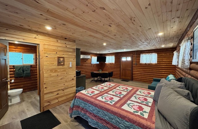 Cozy log cabin with AC and WiFi in quiet countryside and awesome night sky views