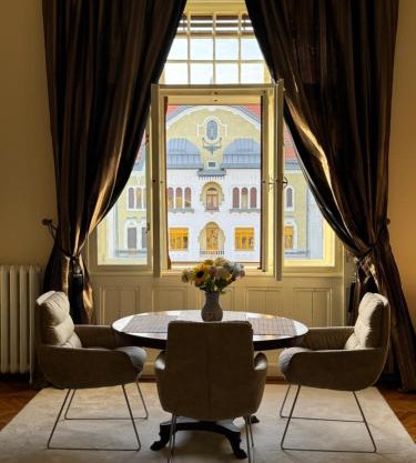 charming & lovely apartment downtown
