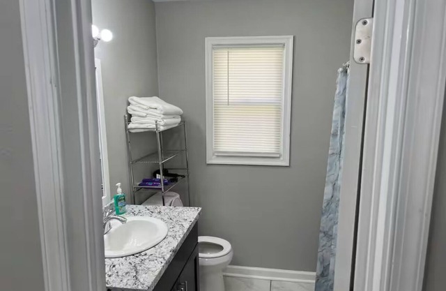 Charming Newly Renovated 2-bedroom house with WiFi, AC in awesome Williamsburg