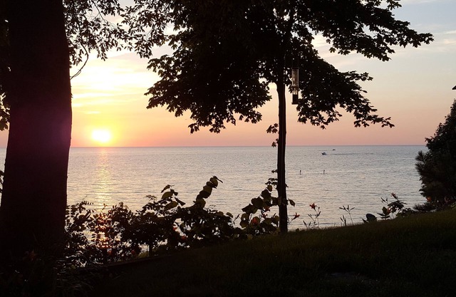 Encantadora cabaña de secuoyas en asociación privada y amigable con 300 pies de playa ...!