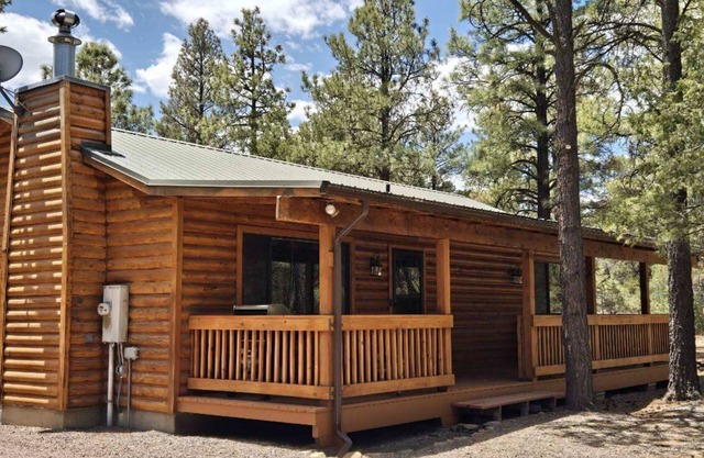 Charming remodeled family cabin room for 8 nestled in the woods & near lakes