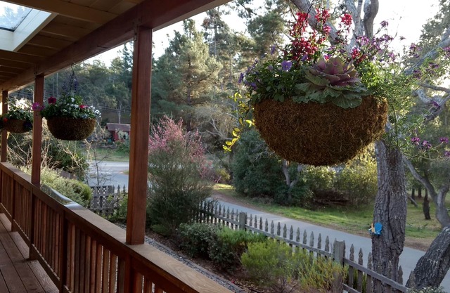 Encantadora escapada de un solo nivel remodelada con hotsprings HotTub