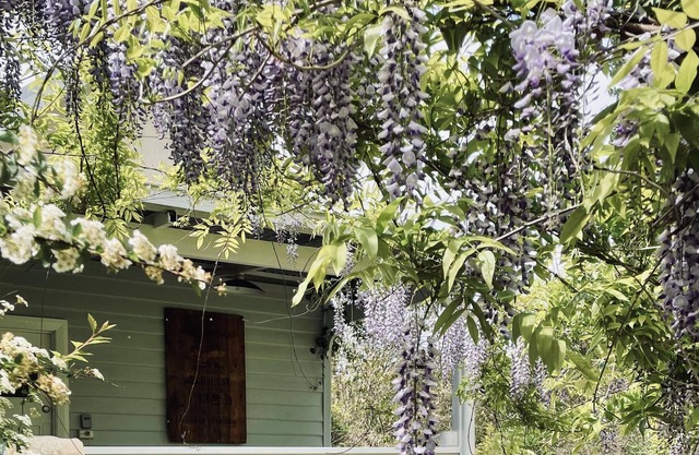 Charming self contained rustic country cottage joined to main farmhouse.