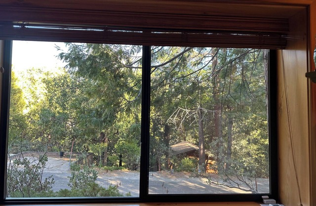 Charming studio in awesome Idyllwild-Pine Cove with WiFi, AC
