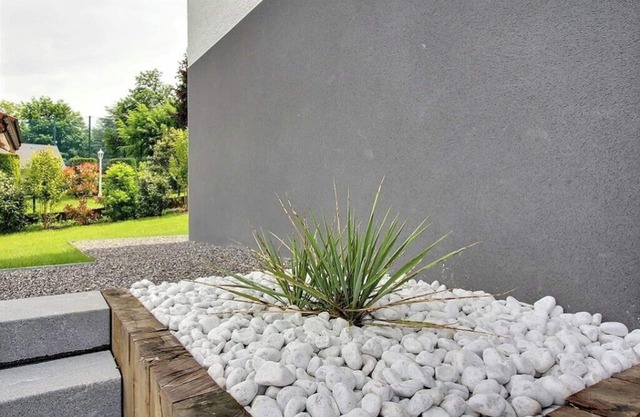Charming studio with garden view