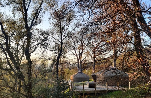 Charming Yurt in Kelburn Estate near Largs