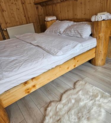 Charpatian Log Cabin Dragoslavele