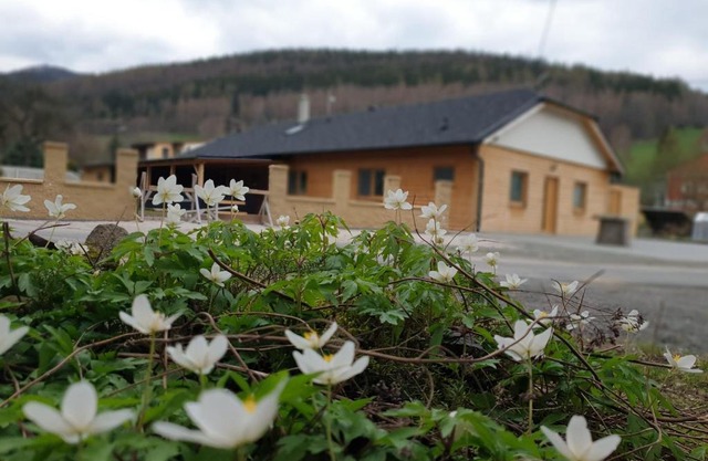 ChataTrucovna, wellnes