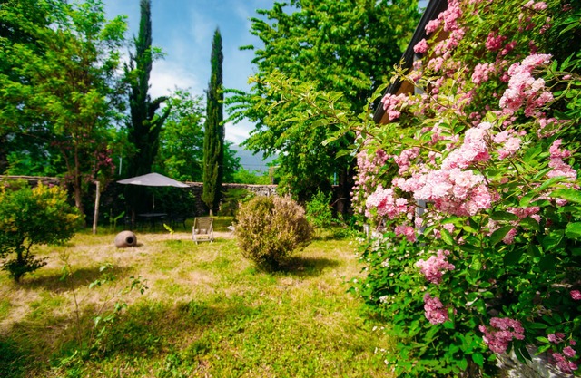 Chateau Eniseli