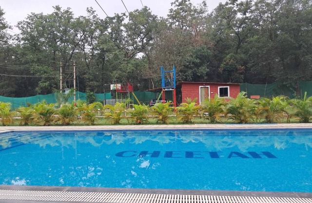 Cheetah Farms Jungle Stay