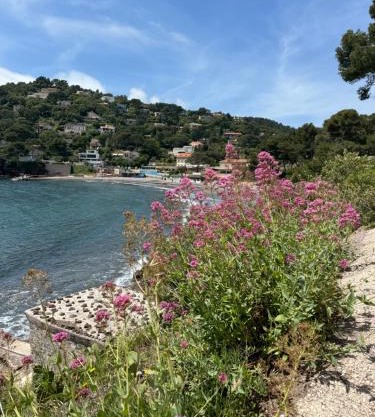 Chemin du Bord de mer