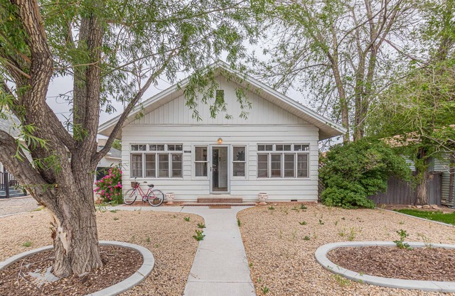 Cherry Blossom I: Downtown w/ Fenced Yard for Dogs!