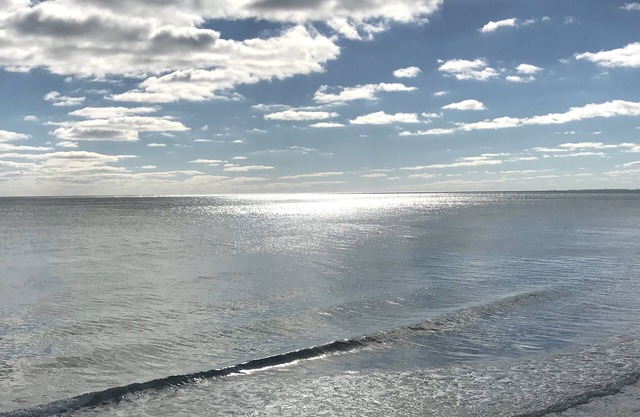 Chesapeake Bay Beach Cottage
