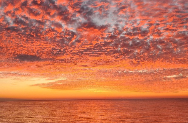 Chesapeake Bay Escape