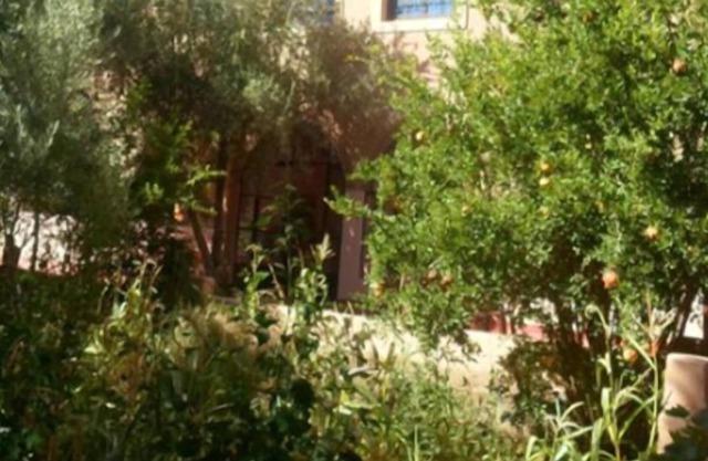 Chez Slimani