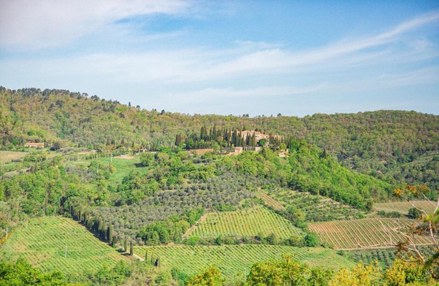 Chiantissima, Tuscany