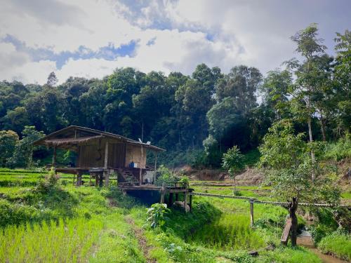 Chibacall ชิบะคอล Chiang Mai hideaway Homestay