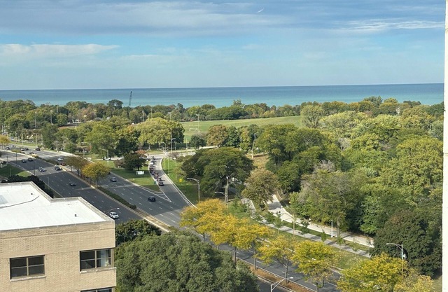 Chic apartment in marvelous Chicago with WiFi, AC