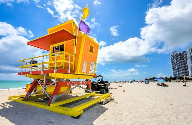 Chic Ocean Miami 88