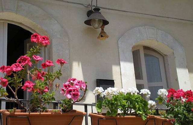 Chicchi di Melograno