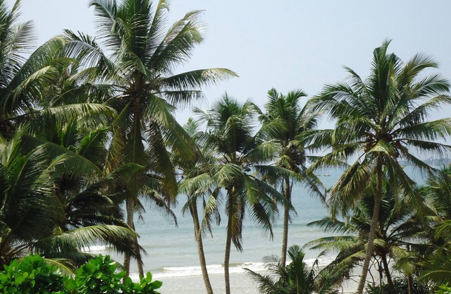 Chill Bay Weligama