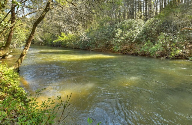 Chimney Path on Fightingtown Creek | Log Cabin | Trout Fishing | Secluded