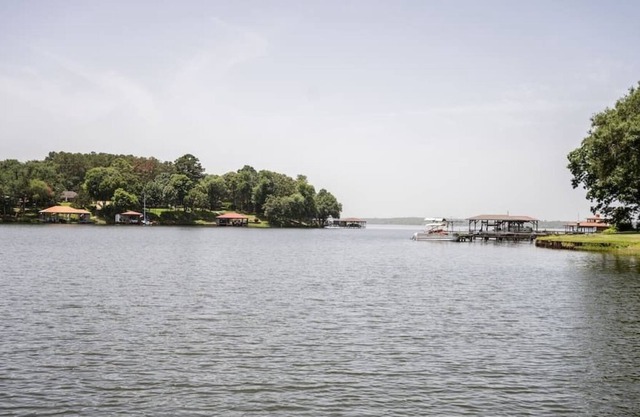 Chimney Pines at Lake Palestine