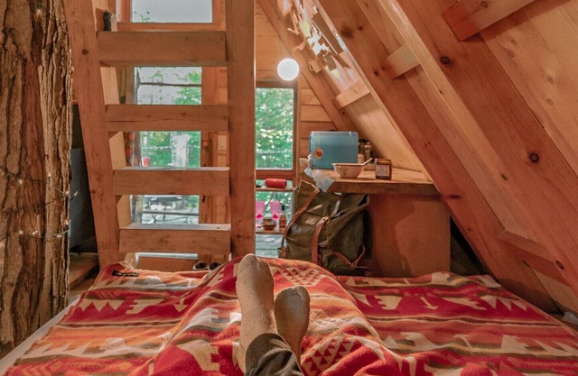 Chimo Refuges Tree House Resort - Entire property rental
