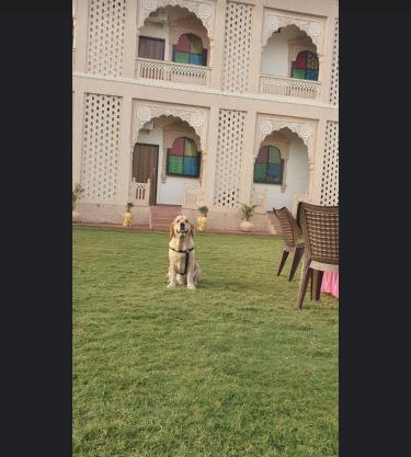 Chouhan Palace