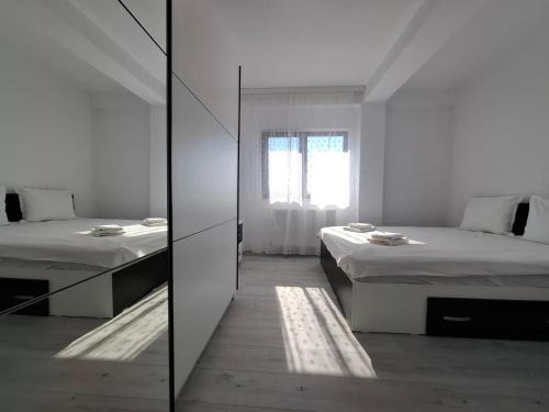 Cicoarei Apartment