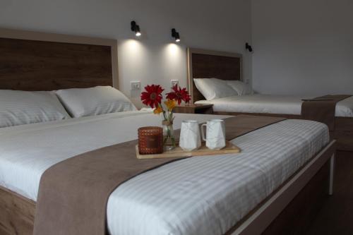Ciconia Apartments