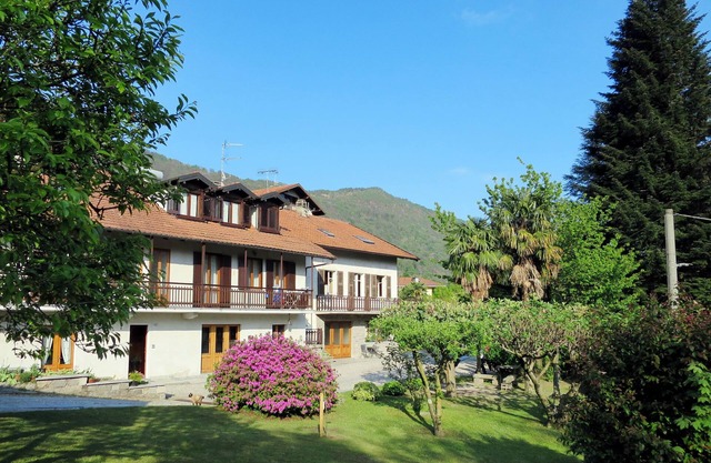 Ciliegio by Interhome