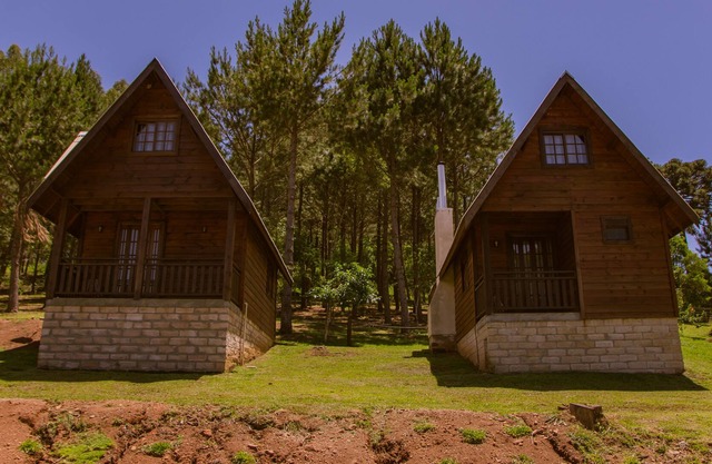 Cinnamon, Rio Grande do Sul Lion Huts de la tribu Judah.