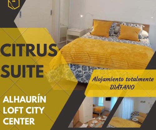Citrus Suite by Alhaurín Loft City Center