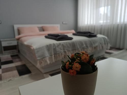 City Apartment