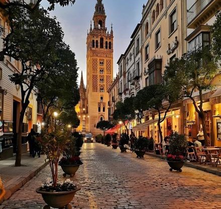 City Center Las Setas 1