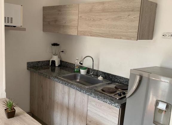 Ciudad Jardín 401 loft