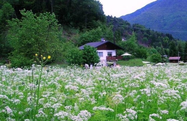 Civettini House 100 mt from the lake
