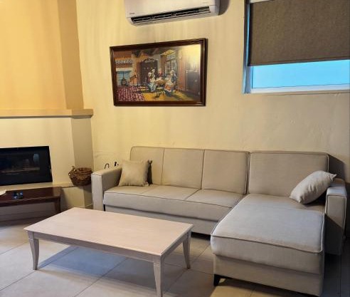 Classic apartment Meronas