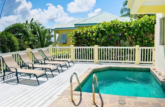 Classic Caribbean villa wt private pool and ocean view