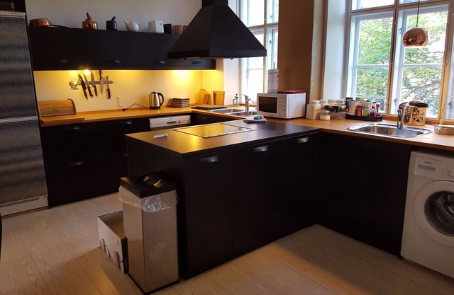 Classic Copenhagen City Apartment