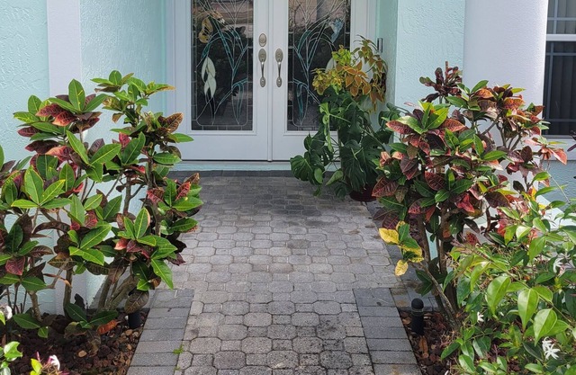 Classic Florida Home near Tampa/St Petersburg and beaches. Pet friendly!