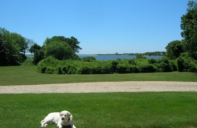 Cabaña clásica de Hamptons con paseos en bote e impresionantes vistas al agua