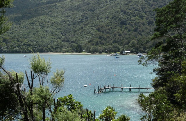 Kiwi Bach clásico, Endeavor Inlet, Queen Charlotte Sounds Marlborough